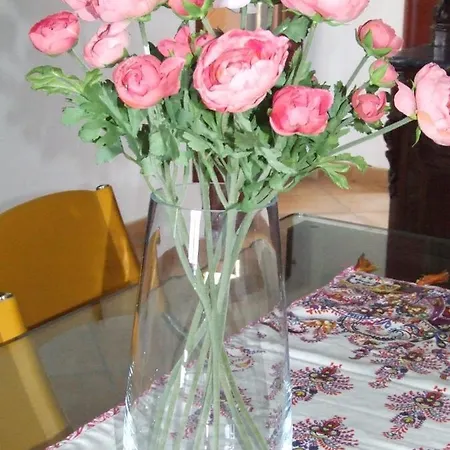 Marlu Bisceglie