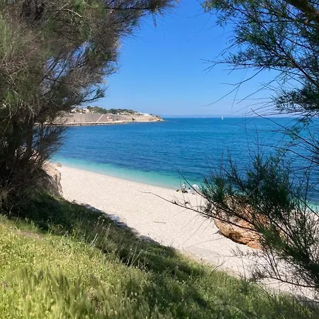 Marlu Bisceglie